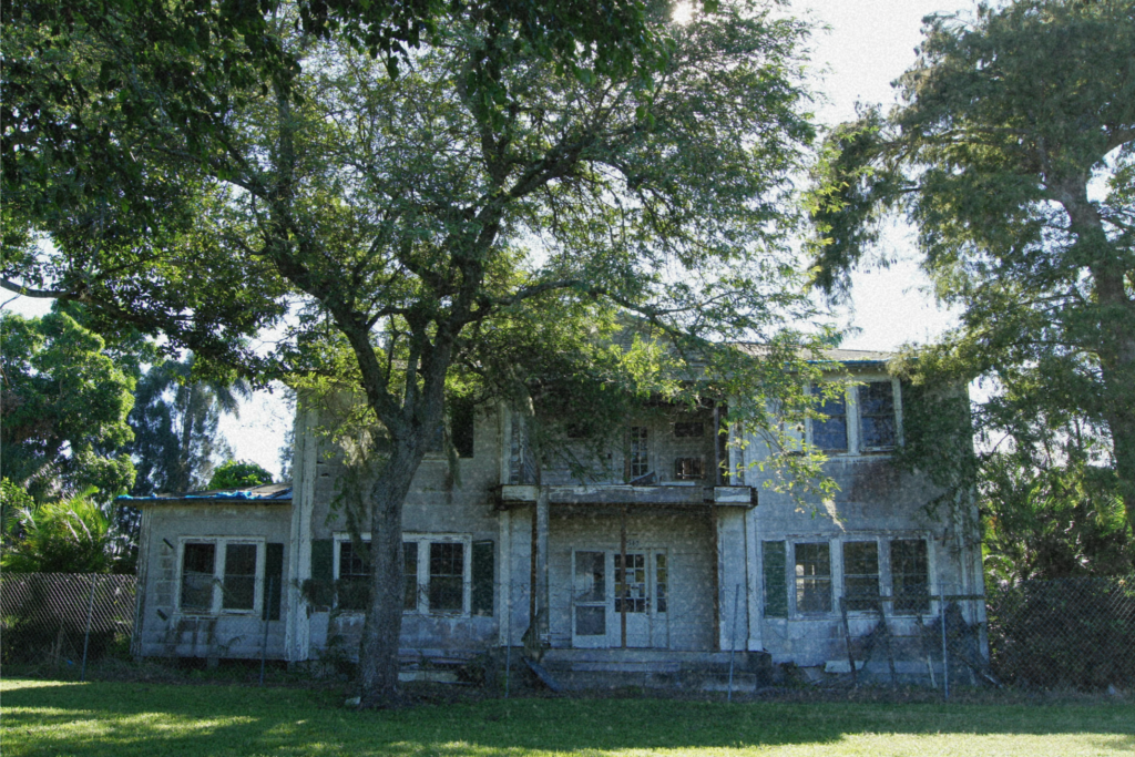 Abandoned vacant property surrounded by overgrown trees and vegetation showing visible signs of deterioration and neglect,
