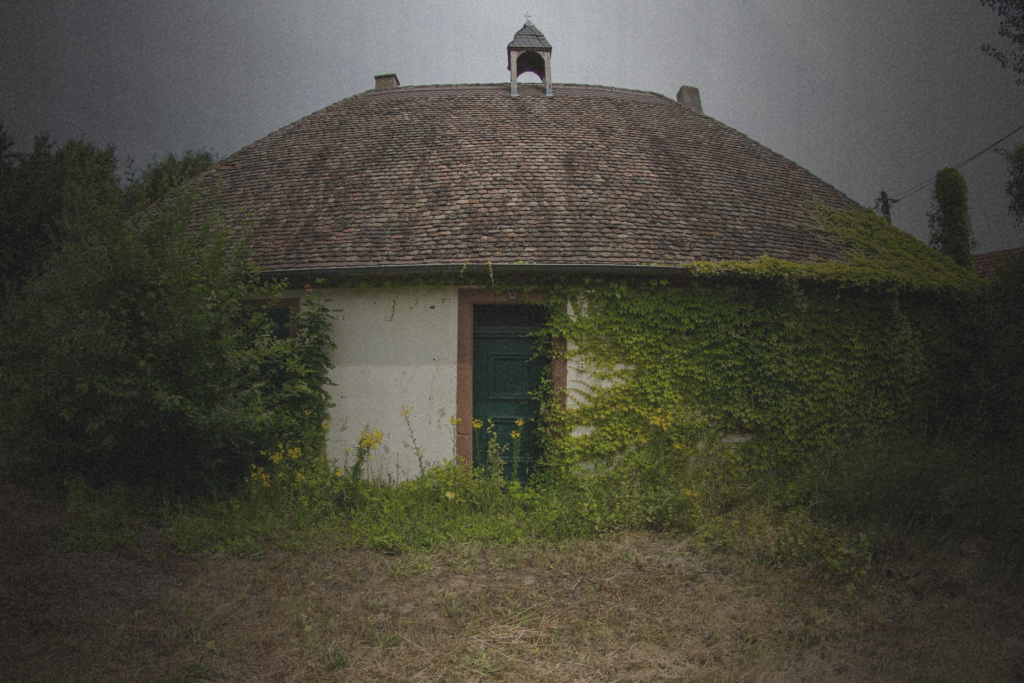 Overgrown vacant property with a weathered roof and creeping ivy, illustrating how deferred maintenance can quietly destroy property value over time.