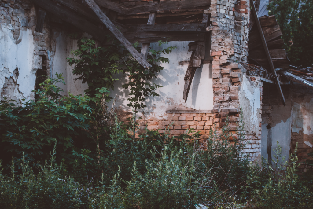 Abandoned vacant house with a collapsed roof, deteriorating brick walls, and overgrown vegetation illustrating how neglected building systems destroy property value over time.